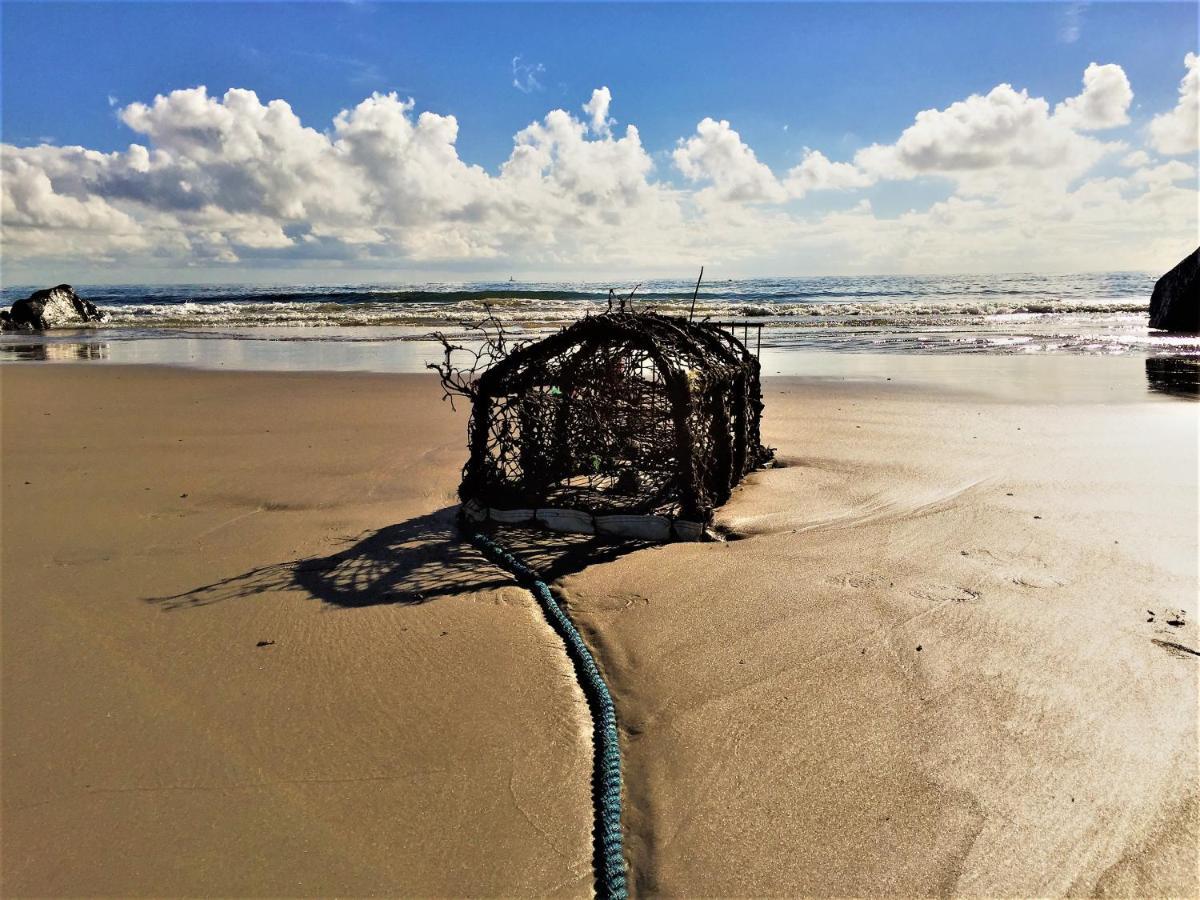 St Awaries Studio, Carne Rosslare Harbour Kültér fotó