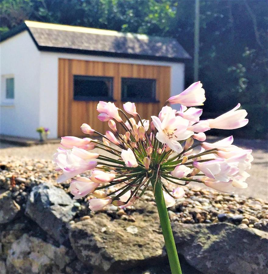 St Awaries Studio, Carne Rosslare Harbour Kültér fotó